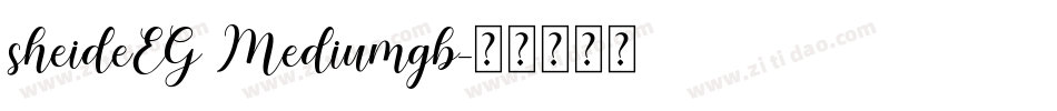 sheideEG Mediumgb字体转换